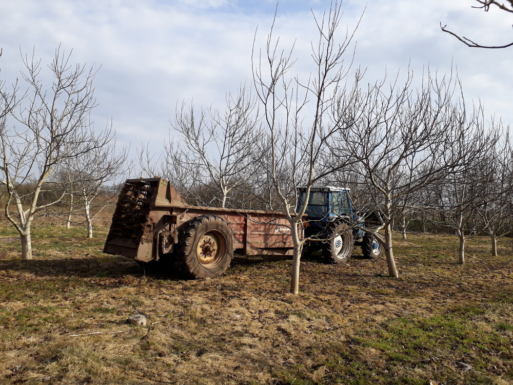 Traktor i plantagen